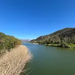 Primavera Matilde 特尔尼