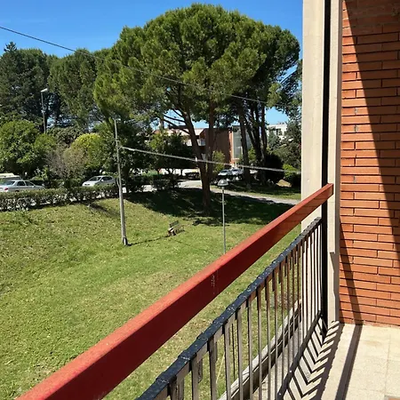 Primavera Matilde Affittacamere *