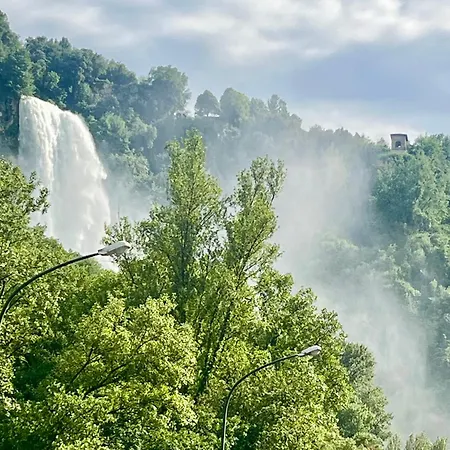 Primavera Matilde 3*