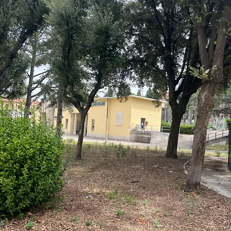 Primavera Matilde Affittacamere