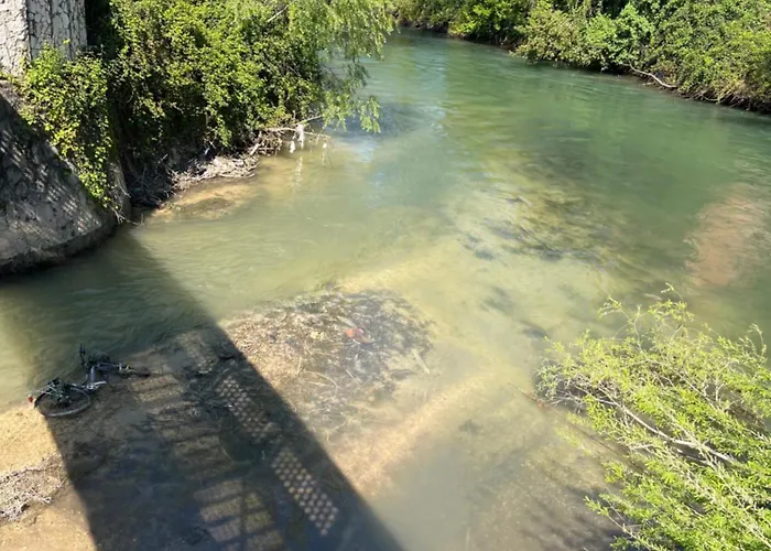 Primavera Matilde Terni